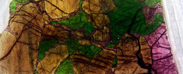 Here's why over 80% of all life on Earth was wiped out 250 million years ago