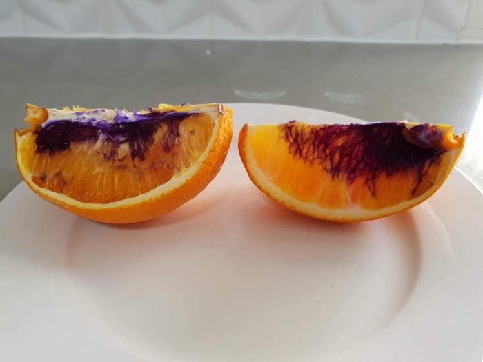 036 orange turned purple australia 3