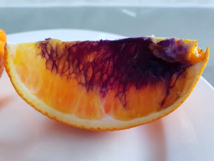 036 orange turned purple australia 3