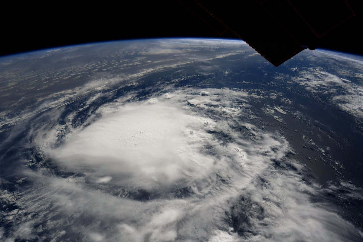 (Richard Arnold/NASA/NHC/Business Insider)