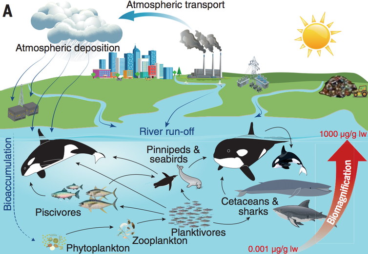 ((Desforges et al / Science)