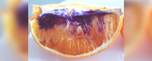 We finally know why that orange in Australia bizarrely turned purple