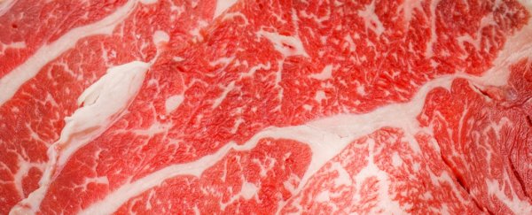There's something you should know about the 100% meat 'pure carnivore diet'