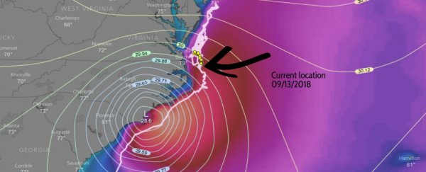 A leatherback turtle is navigating the turmoil of Hurricane Florence, and you can follow her journey in real time