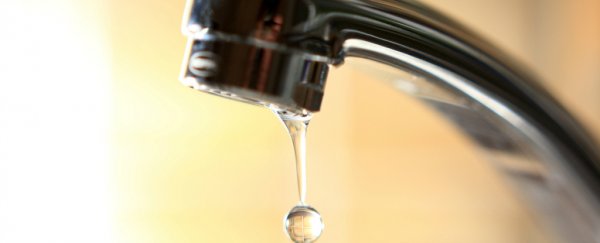 This simple lifestyle change can reduce your water usage up to 55%, study shows