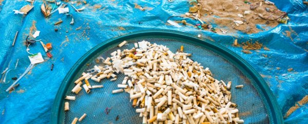 The most abundant type of ocean trash is not what we expected, and it's disgusting