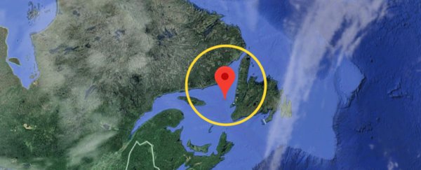 This stretch of water is losing oxygen faster than almost anywhere else in the ocean