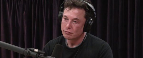 Elon Musk warns we're living through the "dumbest experiment in human history"
