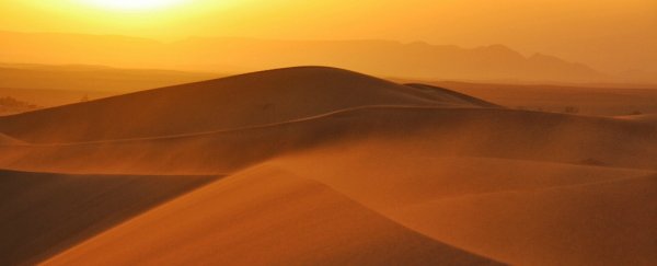 VÃ½sledek obrÃ¡zku pro desert