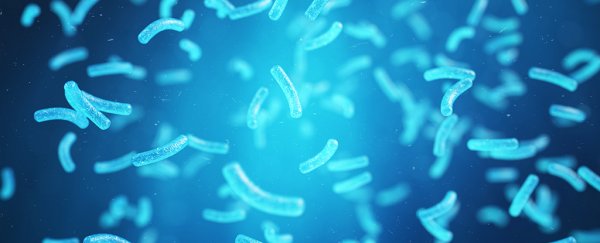 Your guts could be full of tiny electricity generators, scientists have discovered