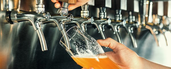 Archaeologists think they've found the world's oldest brewery, and it predates agriculture