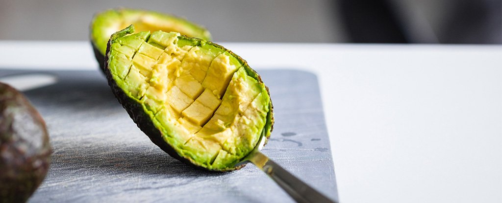 ketogenic fasting almanac articles