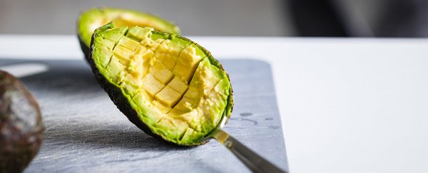 This study on nearly half a million people has bad news for the keto diet