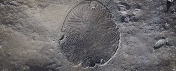 This eerie creature was just officially confirmed as the world's earliest known animal