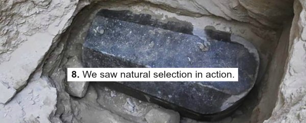 Summer's over. Here are the 9 most important science stories you need to catch up on