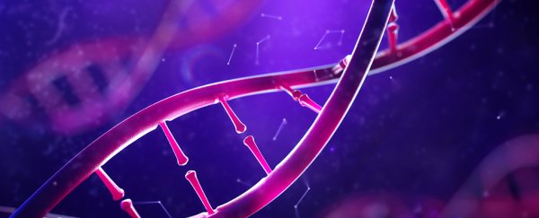 Your environment could be changing your IQ on a genetic level, study finds