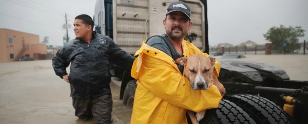 These simple tips could save your life in almost any disaster, from floods to hurricanes