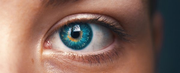 Scientists have detected an entirely new visual phenomenon in the human eye