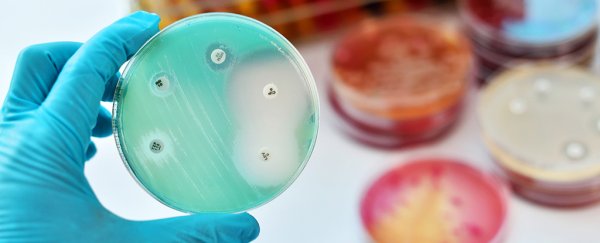 Scientists have engineered a potential new class of antibiotic that can kill superbugs