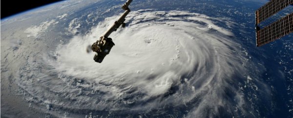 The Atlantic Ocean looks insane right now - 3 hurricanes are churning above it