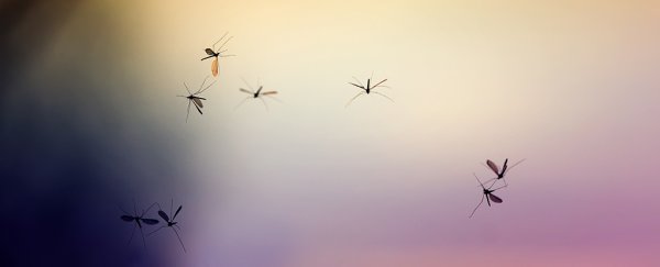 Plastic pollution is now spreading from ocean food chains into land animals, thanks to this insect