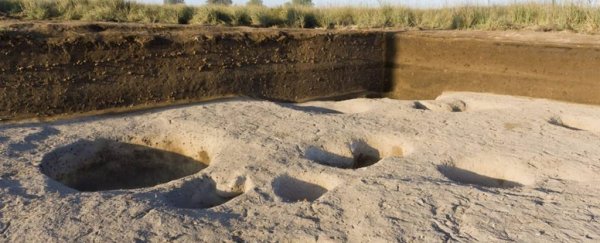 An Ancient Egyptian village just found in the Nile Delta predates the pyramids by 2,500 years