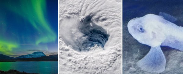 Did you pay attention to science news this week? Take our super hard quiz to find out