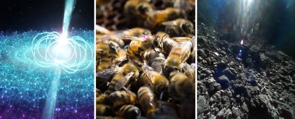 Here's the most important science news that happened this week