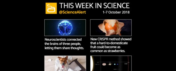 Infographic: Here's the most important science news this week