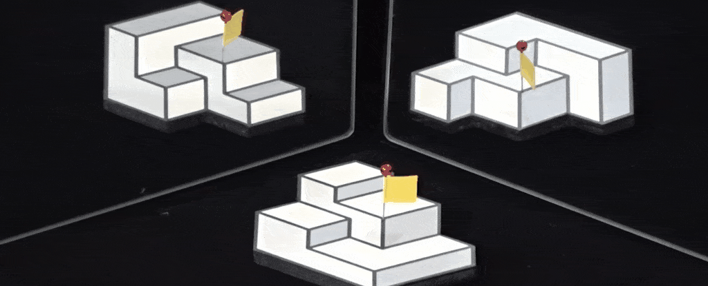 The ‘Best Illusions of the Year’ have just been released, and yes, your brain will hurt