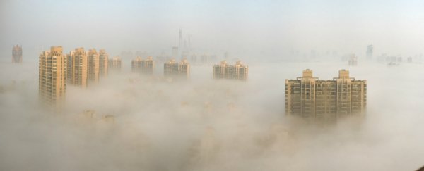 Vast majority of children in the world are breathing polluted air, says WHO report