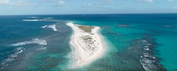 An entire Hawaiian island has just vanished off the face of Earth
