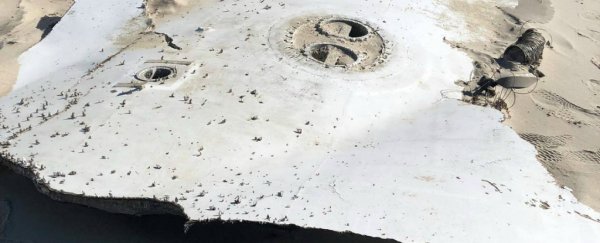 SpaceX asked to clean up its trash as giant piece of Falcon 9 found on a beach