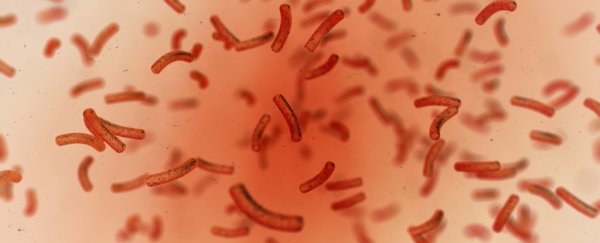 Experimental antibiotic gives new hope against superbugs in clinical trials