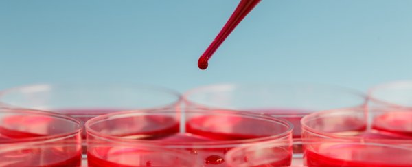 Incredible new test can screen your blood for every single known bacterial infection simultaneously