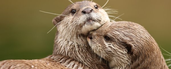 Here are the important benefits you get when you hug someone, according to science