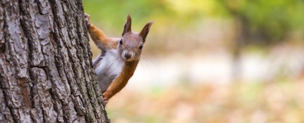 Doctors in Scotland are literally prescribing nature to their patients
