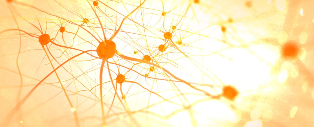 There's Mounting Evidence Implicating The Herpes Virus in Alzheimer's Disease