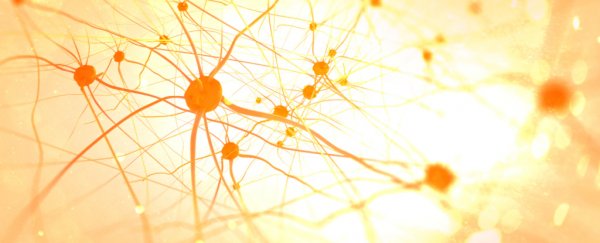 There's mounting evidence implicating the herpes virus in Alzheimer's disease