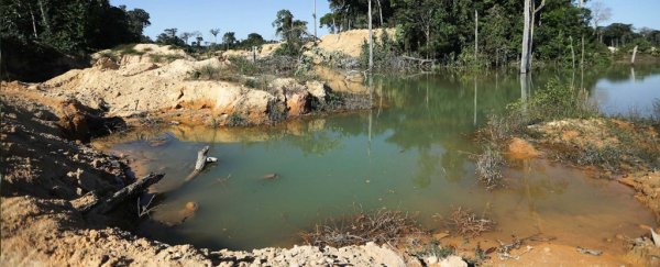 Scientists are terrified that Brazil's new president will destroy the Amazon rainforest