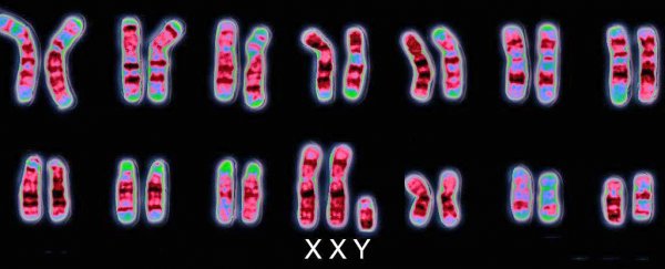 Why "unchangeable" definitions of sex based on genitals are wrong, according to science