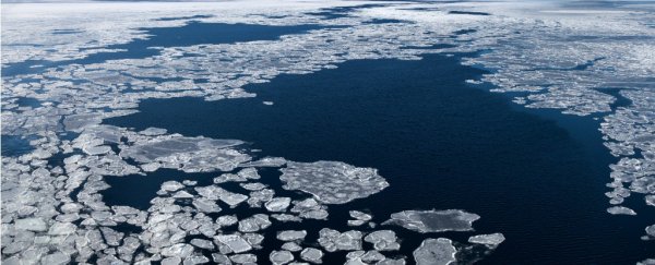 While we were busy debating climate science, we lost more than half the Arctic's permanent ice