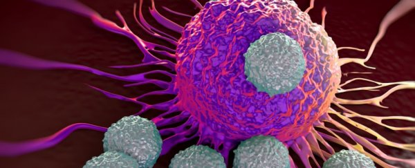 Here's the groundbreaking cancer research that just won the 2018 Nobel Prize in medicine