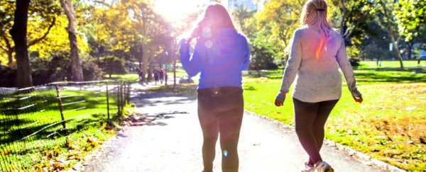 We've been misled about exercise's role in weight loss, a doctor explains