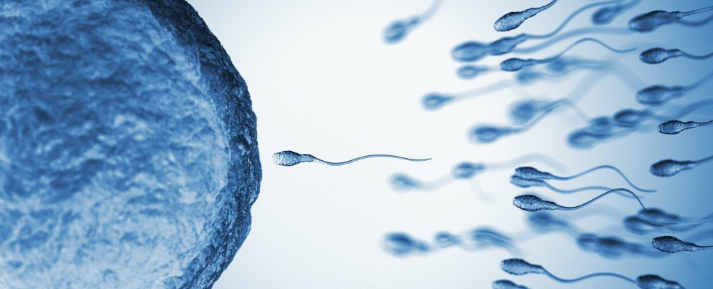 main article image