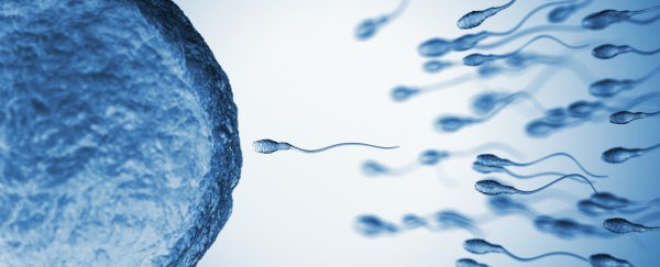 US fertility rates are collapsing across the country, and no one knows who to blame