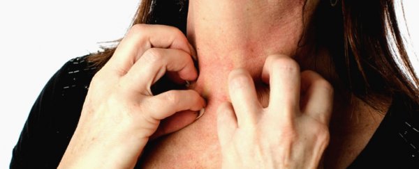 Here's why you get itchy, and why scratching feels so good