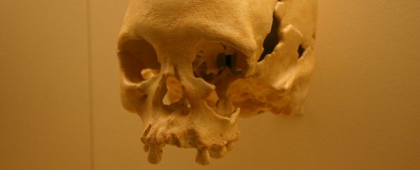 A priceless early human artefact has survived the museum fire in Brazil