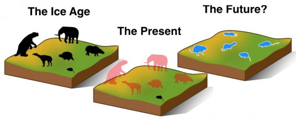 We've wiped out so many mammals, Earth will need 5 million years to evolve replacements