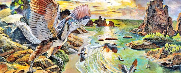 A new flying dinosaur suggests Archaeopteryx really is the 'missing link' to birds